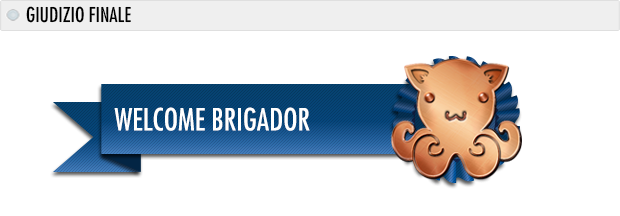 medaglie brigador